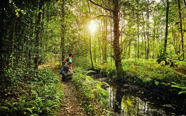 Un cadre de vie privilégié au coeur de Brocéliande